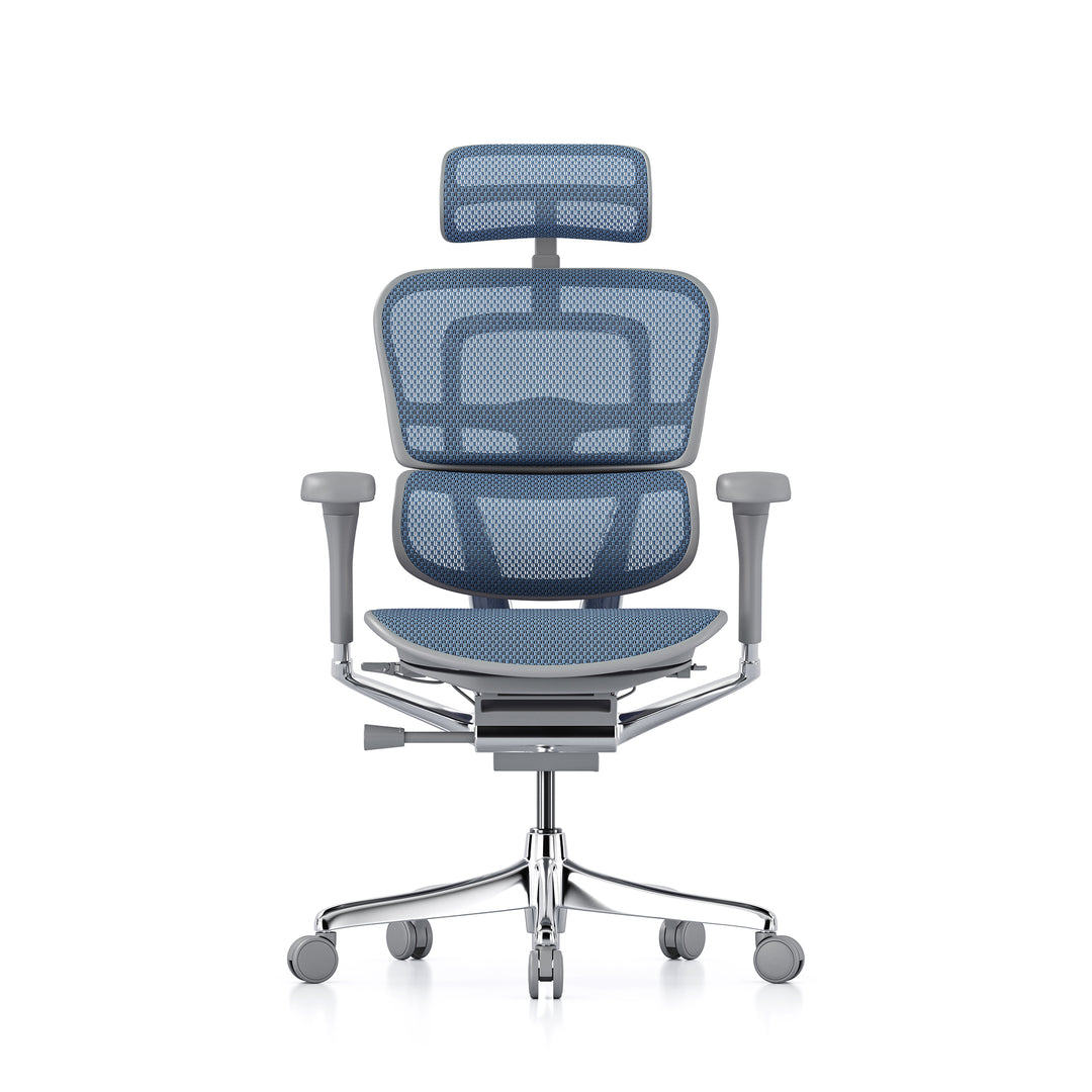 Ergohuman Office Chair- Blue Mesh Office Chair Ergohuman
