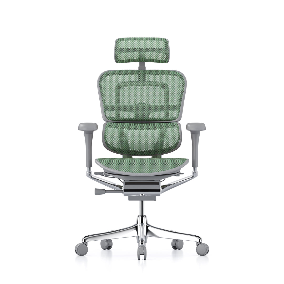 Ergohuman Office Chair- Green Mesh Office Chair Ergohuman With Headrest Grey