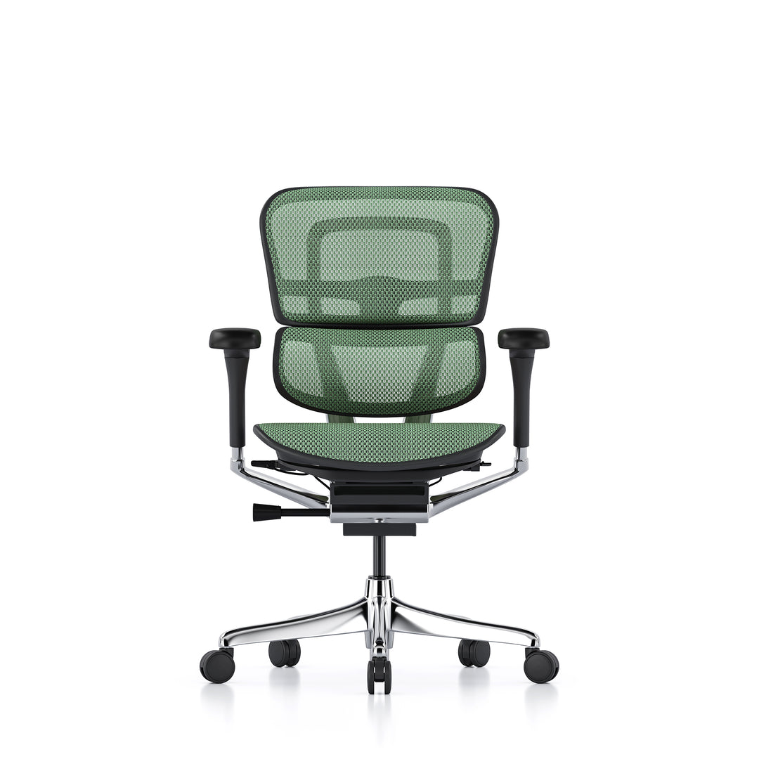 Ergohuman Office Chair- Green Mesh Office Chair Ergohuman Without Headrest Black