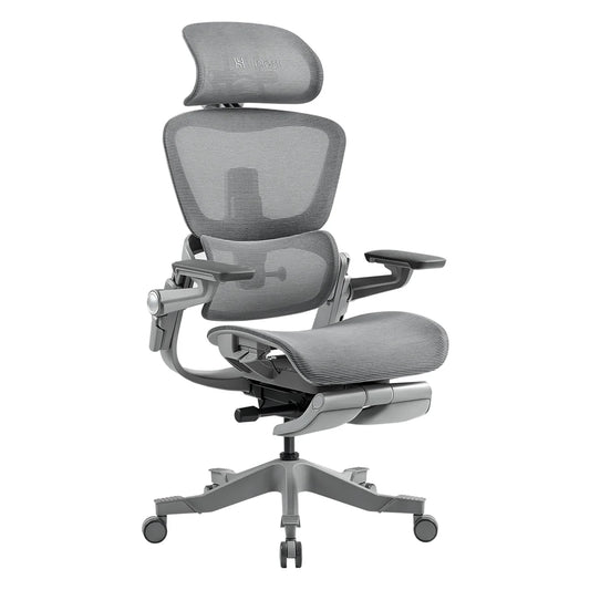 HINOMI H1 Pro Ergonomic Office Chair HINOMI Grey V2 standard(for users 150cm to 178cm tall)