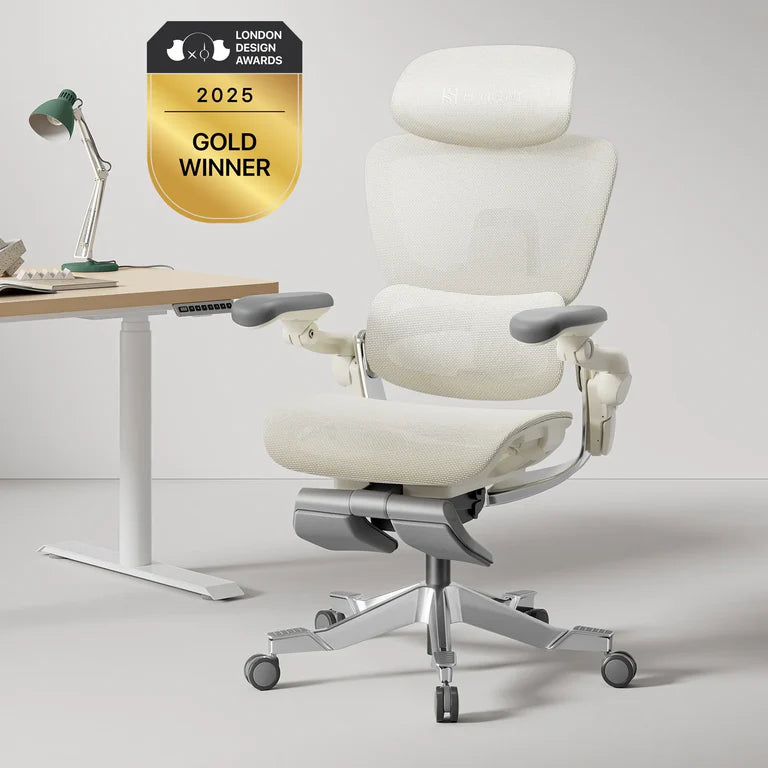 Hinomi H2 Pro Ergonomic Office Chair