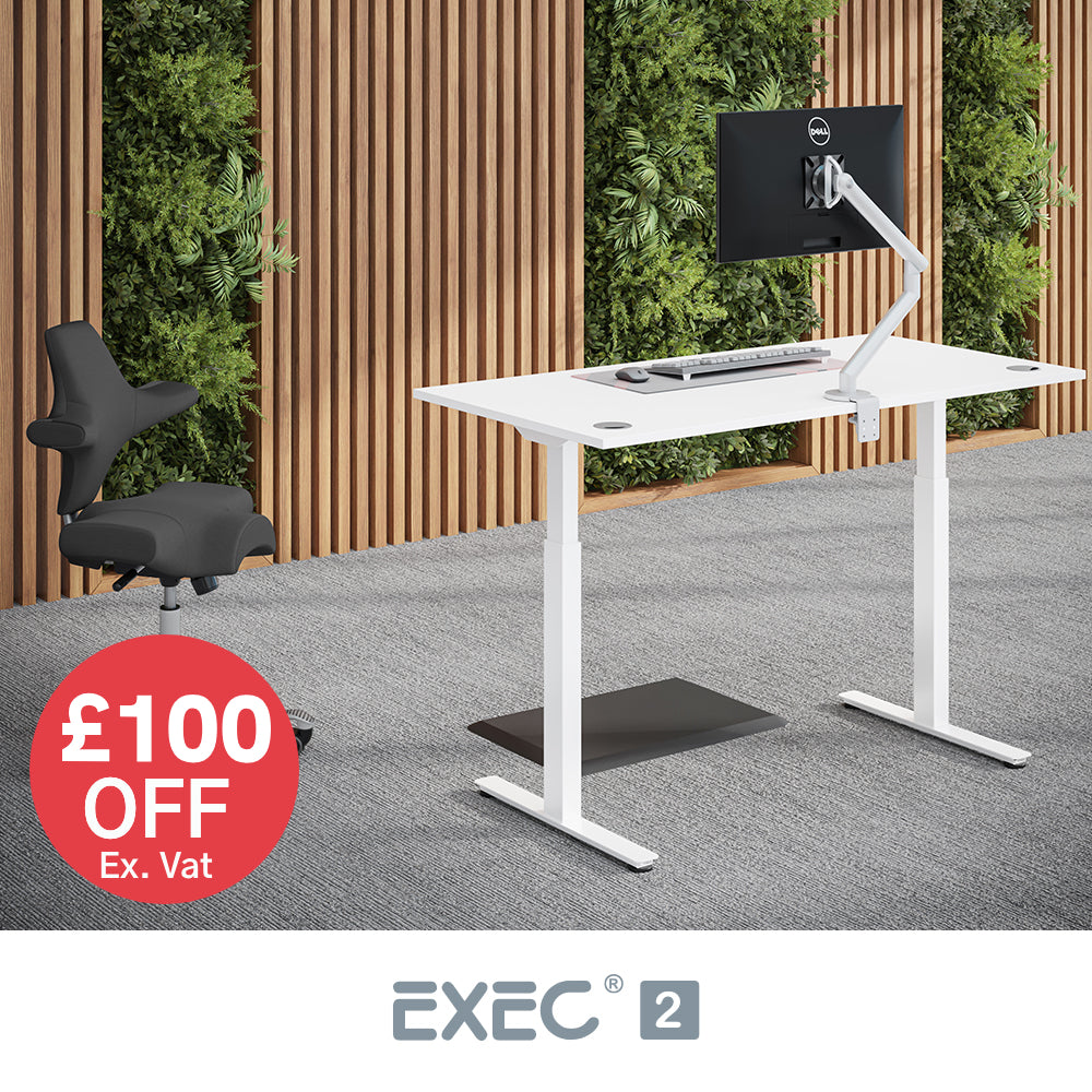 Exec 2 Dual Motor Standing Desk