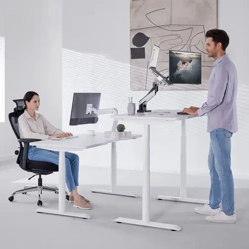 Hinomi S1 Adjustable Dual Motor Standing Desk