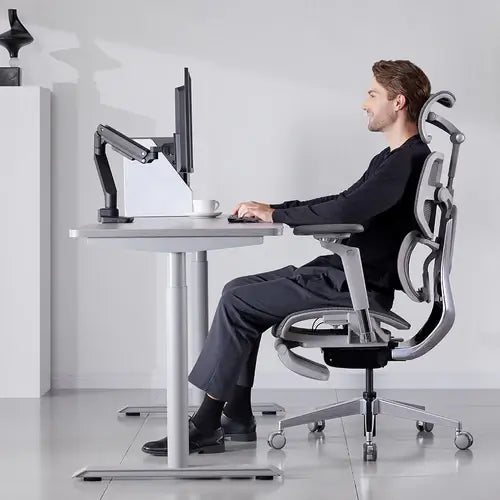 Hinomi S1 Adjustable Dual Motor Standing Desk