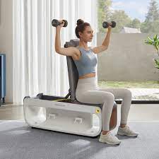 King Smith Fitness Tone-Up Workout Bench