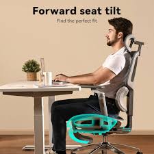 H80 Pro Ergonomic Office Chair Office Chair Musso