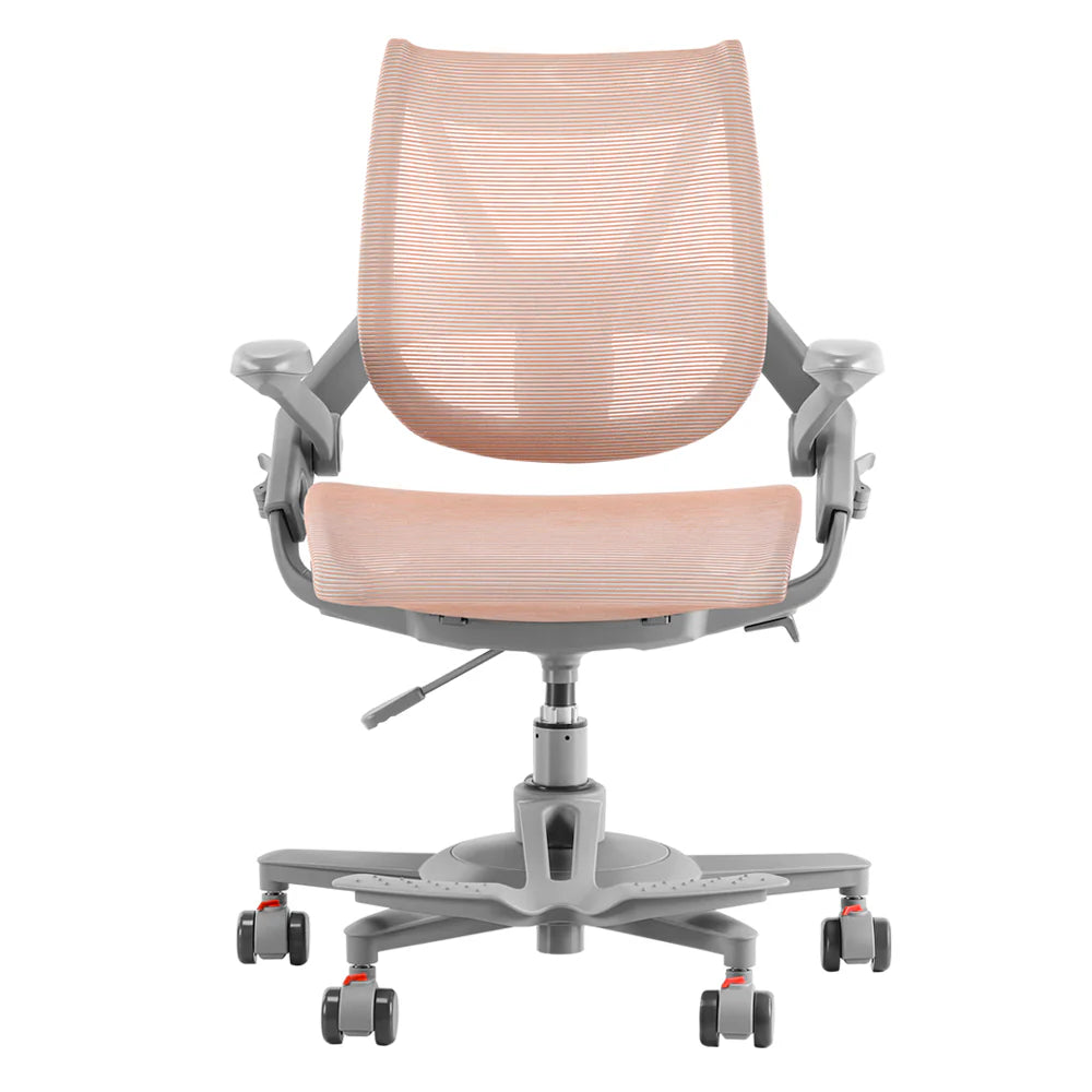 HINOMI Zee V2 Ergonomic Chair Office Chair HINOMI Pink
