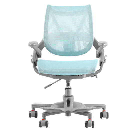 HINOMI Zee V2 Ergonomic Chair Office Chair HINOMI Blue
