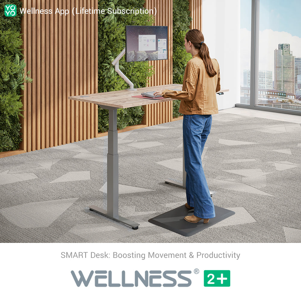 WELLNESS 2+ Smart Dual Motor Standing Desk