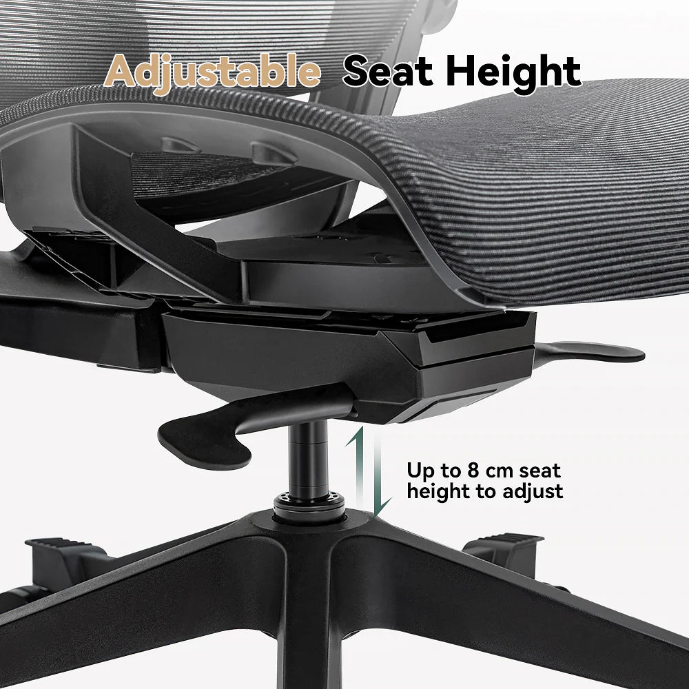 HINOMI H1 Classic V3 Ergonomic Office Chair Office Chair HINOMI