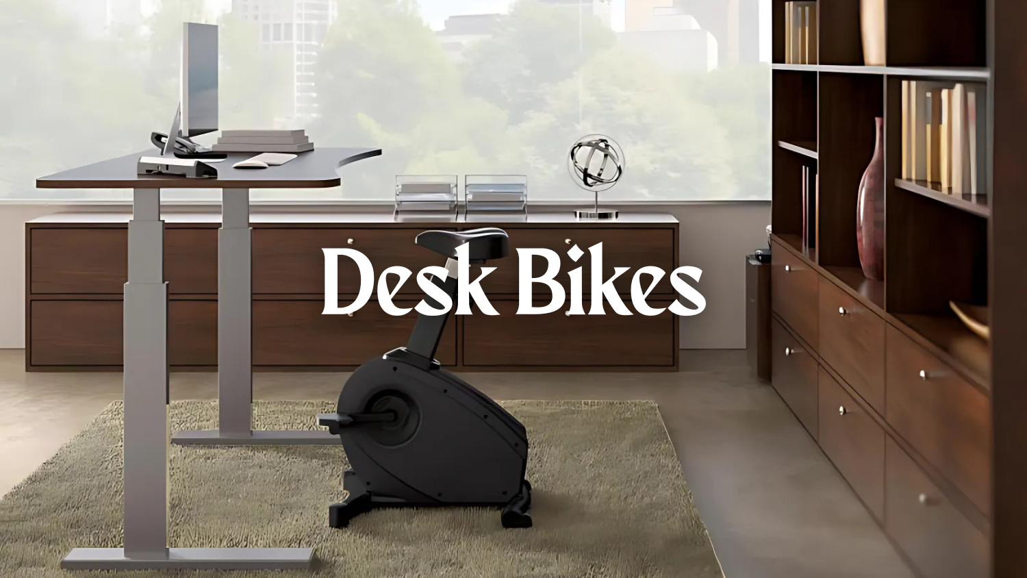 Desk Bikes