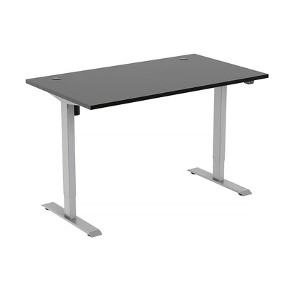 Freedom Height-Adjustable Dual Motor Standing Desk