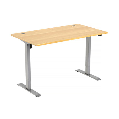 Freedom Height-Adjustable Dual Motor Standing Desk