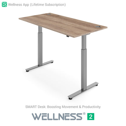 WELLNESS 2 Smart Dual-Motor Standing Desk
