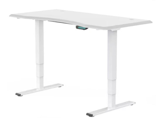 E5 Dual Motor Standing Desk Ergonest White White
