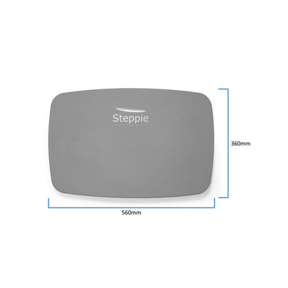 Steppie Balance Board