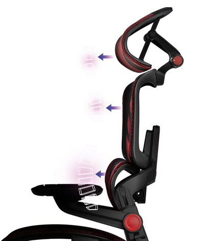 HINOMI Ergonomic Gaming Chair- H1 Pro