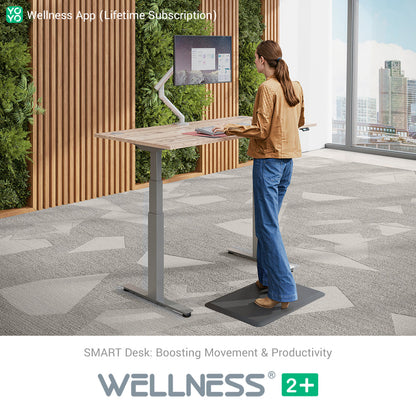 WELLNESS 2+ Smart Dual Motor Standing Desk